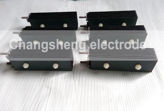 Titanium electrode for sodium hypochlorite generator
